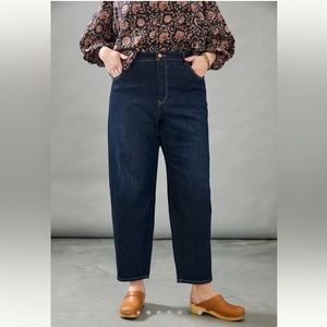 Anthropologie Pilcro Column Straight Jeans Size 16